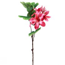 Artikel Konstgjord orkidégren Bauhinia Rosa konstgjord växt 62cm