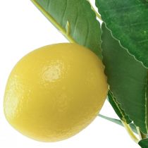 Artikel Konstgjord citronträd i kruka Medelhavet H58cm