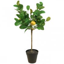 Artikel Konstgjord citronträd i kruka Citronträd H57cm