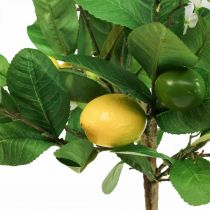 Artikel Konstgjord citronträd i kruka Citronträd H57cm