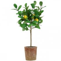 Konstgjord citronträd i kruka Citronträd 58cm