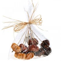 Artikel Deco pumpa dekorationsplugg orange, brun mjuk Ø6,5m 9 st