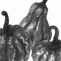 Dekorativ pumpa silver, svart assorterad H10,5 / 14,5 / 17,5 cm 3st