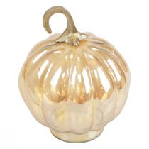 Artikel Pumpa dekoration glas glas pumpa bordsdekoration orange Ø14cm H18cm