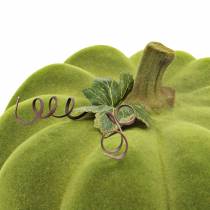 Artikel Dekorativ pumpa flockade mossgrön 32cm