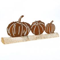 Pumpor rost och bark metalldekor på björkträ 20×5cm H9cm