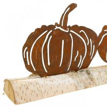 Pumpor rost och bark metalldekor på björkträ 20×5cm H9cm