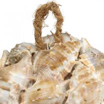 Artikel Dekorativa bollsnäckor snäckskal dekoration hängande naturlig Ø12cm