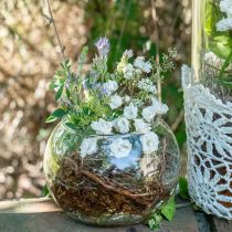 Kulvas glas blomvas rund glas dekoration H10cm Ø11cm