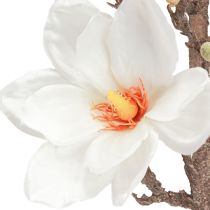 Artikel Konstgjorda blomma Magnolia grenblommor Ø2–10cm Kräm L105cm