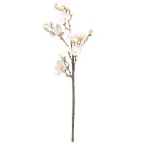 Artikel Konstgjorda blomma Magnolia grenblommor Ø2–10cm Kräm L105cm