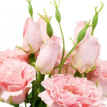 Konstgjorda blommor Lisianthus rosa konstgjorda sidenblommor 50cm 5st