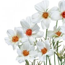 Artikel Konstgjorda blommor Cosmea vita sidenblommor H51cm 3 st