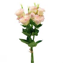 Artikel Konstgjorda blommor Eustoma Lisianthus rosa kräm 52cm 5 st