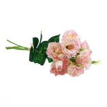 Artikel Konstgjorda blommor Eustoma Lisianthus rosa kräm 52cm 5 st