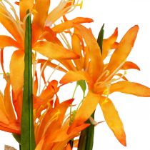Konstgjorda blommor Nerine Orange Guernsey Liljor Höstblommor 48cm