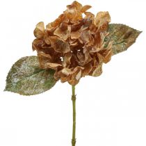 Konstgjord hortensia torkad Drylook höstdekoration L33cm