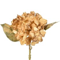 Artikel Konstgjord hortensia torkad Drylook höstdekoration L33cm