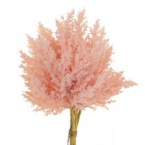 Konstgjorda Astilbe deco-grenar konstgjord rosa H38cm 5st