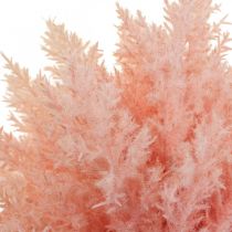 Artikel Konstgjorda Astilbe deco-grenar konstgjord rosa H38cm 5st