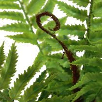 Artikel Konstgjord växt Konstgjord ormbunke Dekorativ ormbunksblad Grön 40,5cm