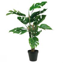 Artikel Konstgjord växt Philodendron Konstgjord krukväxt H60cm