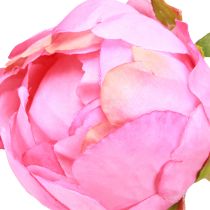 Artikel Konstgjorda Rosor Pioner Konstgjord i Rosa L80cm 2st