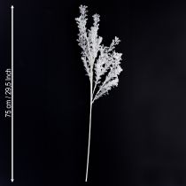 Artikel Konstgjord gren frostad dekorativ gren vinterdekoration vit 78 cm 2 st