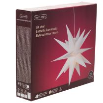 Artikel Dekorativ LED-stjärna, varmvit, utomhus, med timer, 40 cm