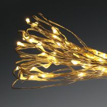 Artikel LED fairy lights 40s för batterier varmvita