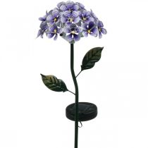 Lysande krysantemum, metalldekoration för trädgården, soldekoration med lysdioder lila L55cm Ø15cm