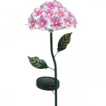 Solblomma, LED trädgårdsdekoration, dekorativ krysantemum rosa L55cm Ø15cm