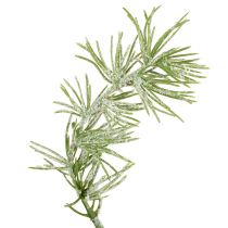 Artikel Dekorativ girlang i lärkträ för stämningsfull rumsdesign, 250 cm