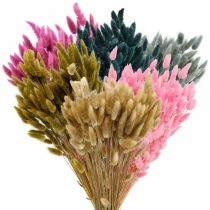Artikel Lagurus Torkad Hare&#39;s Tail Gräsfärgad 65-70cm 100g