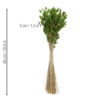 Artikel Torkad Lagurus (Harstjärtgräs) 65-70 cm 75 g