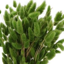 Artikel Torkad Lagurus (Harstjärtgräs) 65-70 cm 75 g