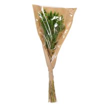 Artikel Torkad Lagurus (Harstjärtgräs) 65-70 cm 75 g