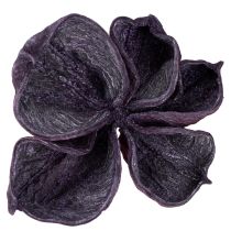 Artikel Landlotus Mix Blackberry, Old Pink 50 st