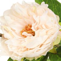 Artikel Långa konstgjorda pioner konstgjorda blommor kräm 70cm 3 st