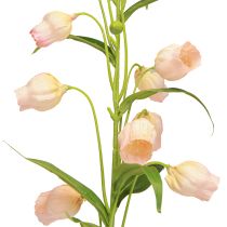 Artikel Lykta Lilja Konstblomma Lilja Aprikos 90cm 2st