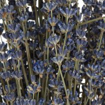 Artikel Lavendel Torkade Blommor Dekoration Naturlig 100g 40cm 100g × 2st