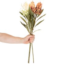 Artikel Konstgjord Protea Leucadendron-blomma med lång stjälk, 65 cm, 3 stycken
