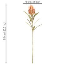 Artikel Konstgjord Protea Leucadendron-blomma med lång stjälk, 65 cm, 3 stycken