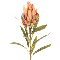 Artikel Konstgjord Protea Leucadendron-blomma med lång stjälk, 65 cm, 3 stycken