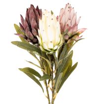 Artikel Protea konstgjord blomma Leucadendron 65cm 3st