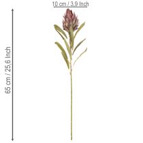 Artikel Protea konstgjord blomma Leucadendron 100cm 3st