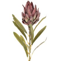 Artikel Protea konstgjord blomma Leucadendron 100cm 3st