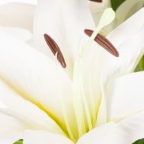 Artikel Konstgjorda liljor, 6 vita blommor, realistisk blommande gren, 66 cm
