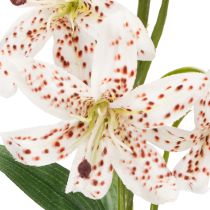 Artikel Konstgjord lilja som blomstjälk för elegant och lättskött dekoration, 82 cm, 2 stycken
