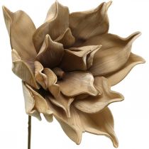 Lotusblomma, dekoration av lotusblommor, konstgjord växt beige L66cm